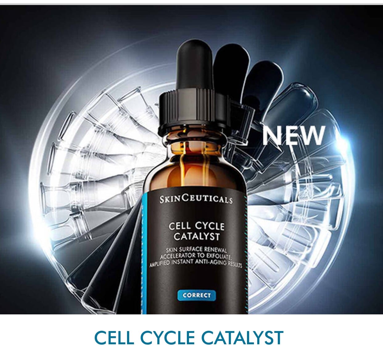 Cell Cycle Catalyst Image